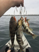 Kit Umbrella Pesca™️ -Compre 1 e Leve 2 kits [OFERTA RELÂMPAGO]