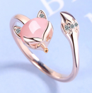 ANEL RAPOSA - SABEDORIA NA ADVERSIDADE (PRATA)